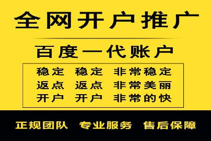 百度竞价广告投放成功案例解析