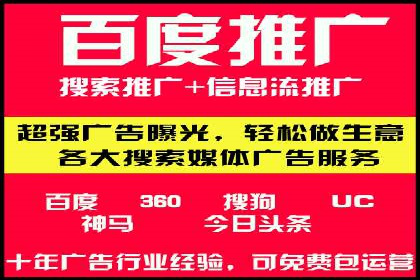 推广竞价策略解析：成功案例分享